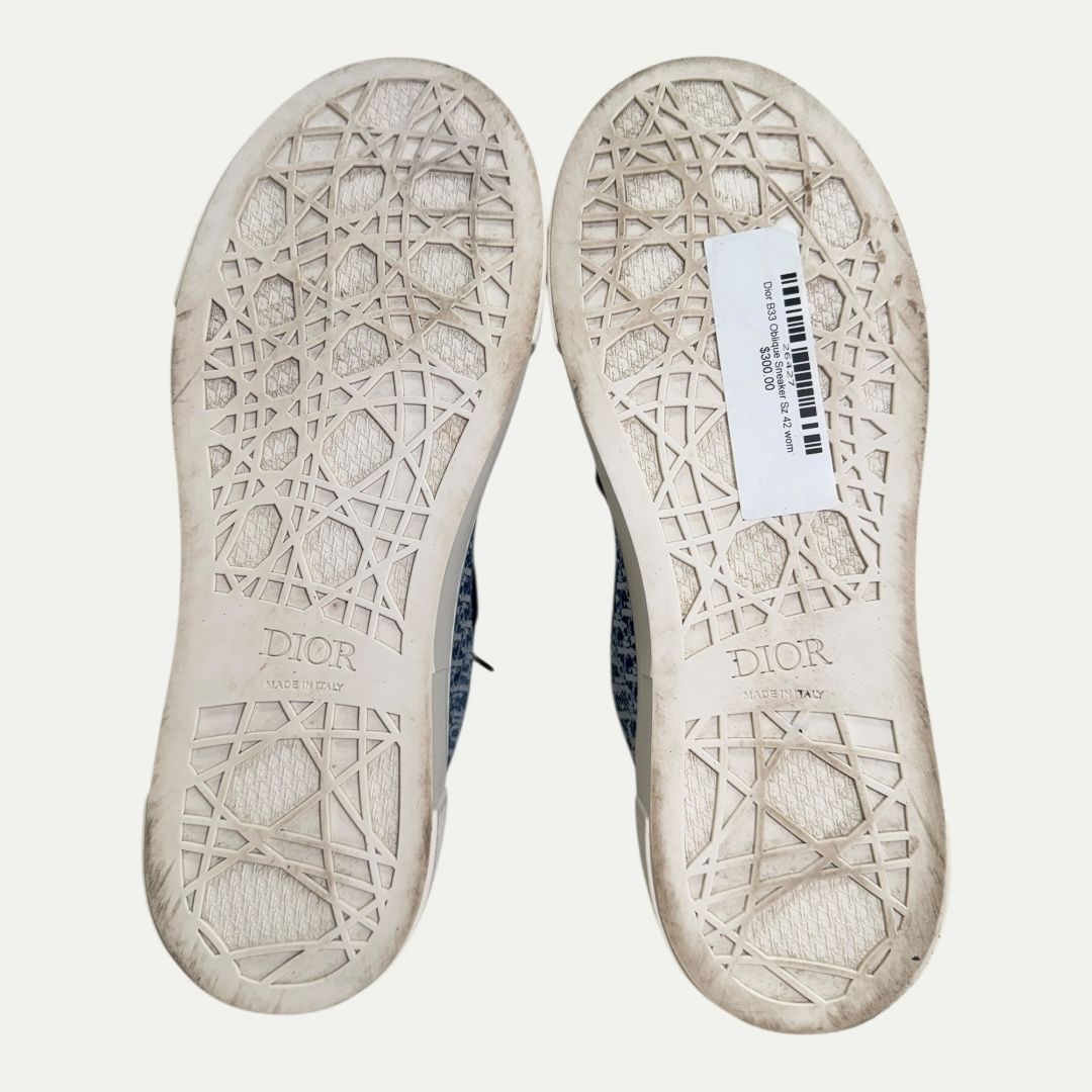 Dior B33 Oblique Sneaker Sz 42(9.5)