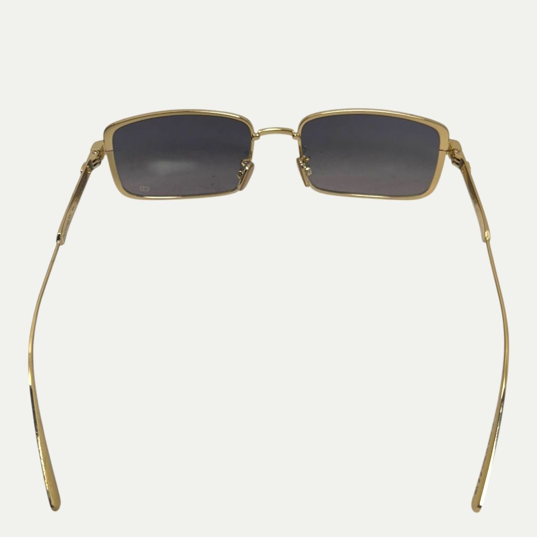 Christian Dior DiorCannage S2U Sunglasses