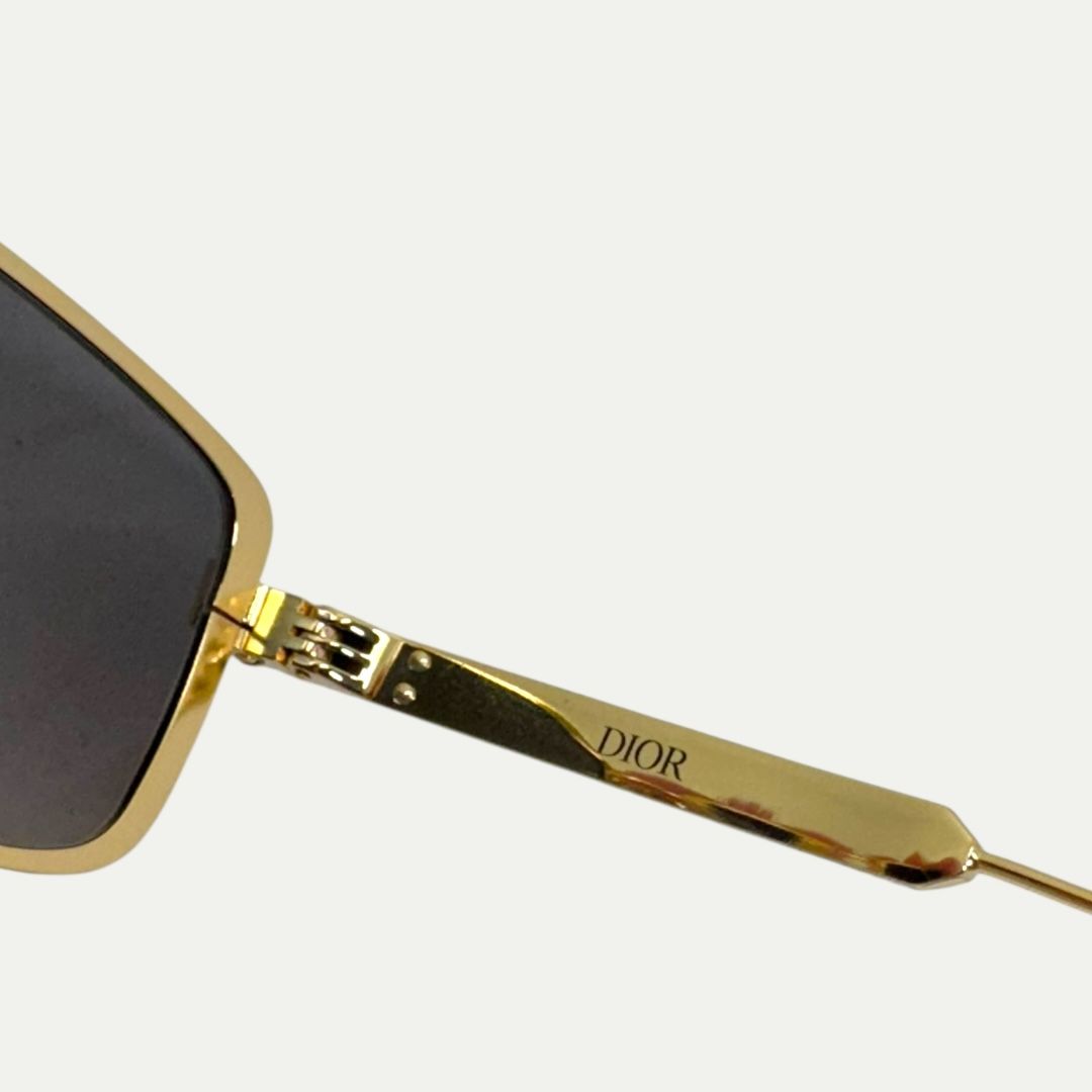 Christian Dior DiorCannage S2U Sunglasses