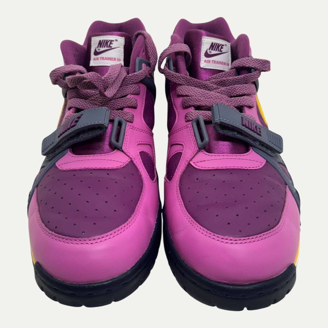 Nike Trainer 3 Viotech Sz 12