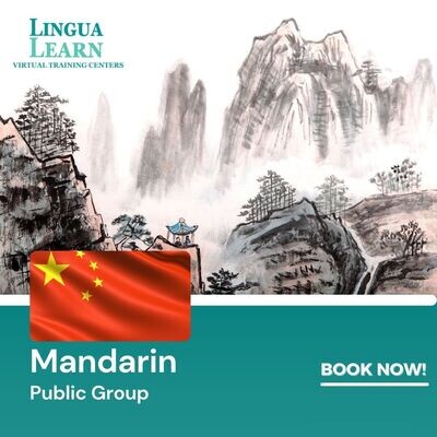 Mandarin A1.1 Beginner Public Group Online Course