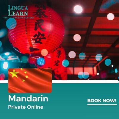 Mandarin Semi-Private Training 2 Students