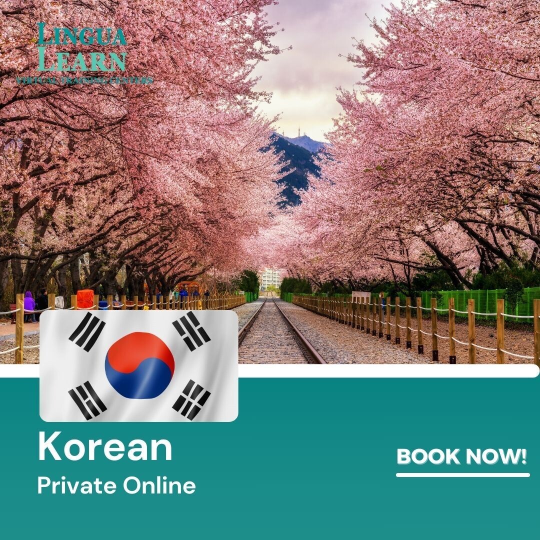 Korean Private 20 Hours 1-on-1 Online Class Training