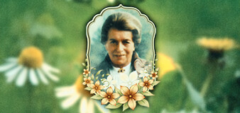 Extracts / Tinctures