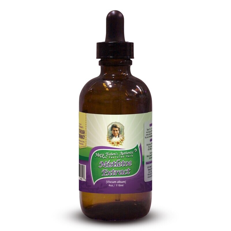 Mistletoe (Viscum album) 4oz/118ml Herbal Extract / Tincture - Maria Treben's Authentic™ Featured Herb