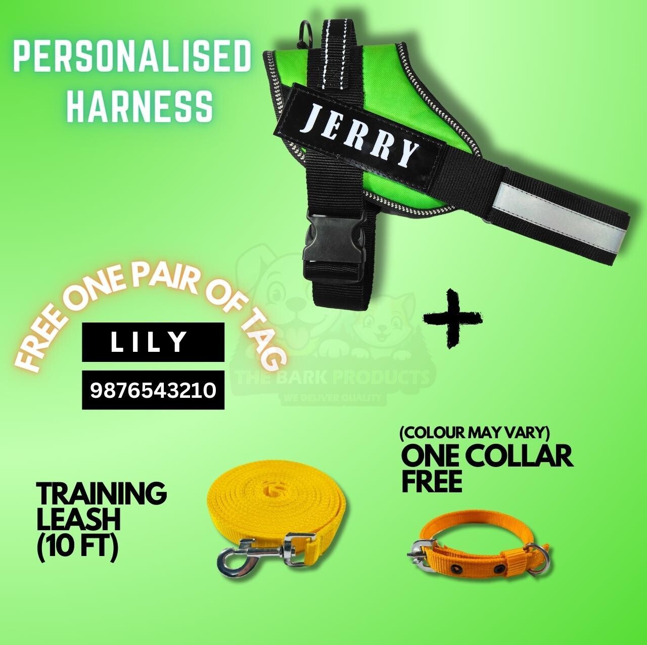 PERSONAISED DOG HARNESS-GREEN WITH TRAINING LEASH