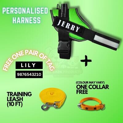 PERSONAISED DOG HARNESS-GREEN WITH TRAINING LEASH