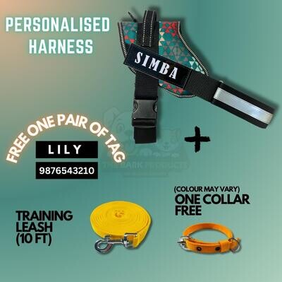 PERSONAISED DOG HARNESS-EMERALD WITH TRAINING LEASH