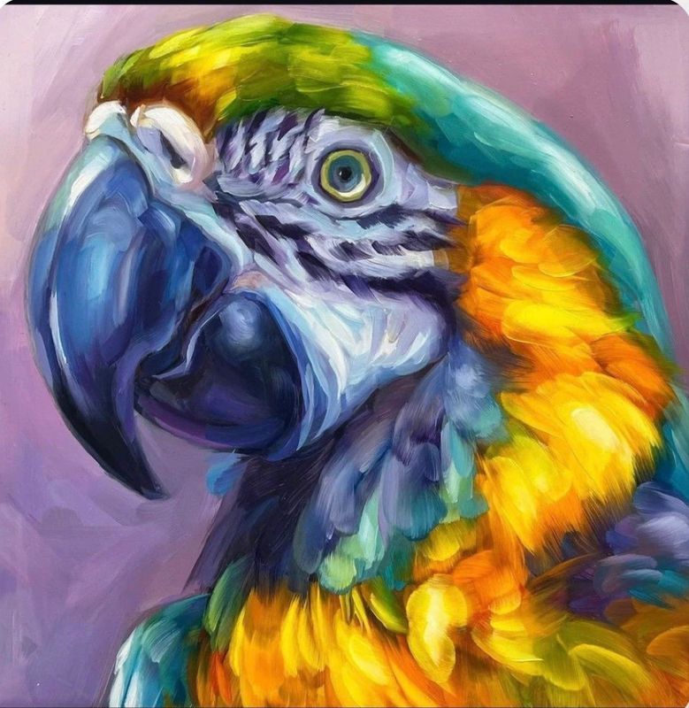Summer Holiday Art Workshops -  Tuesday 21 July 2026 - 9:00am-12:00- MORNING- Art Workshop - Parrot- acrylic on canvas