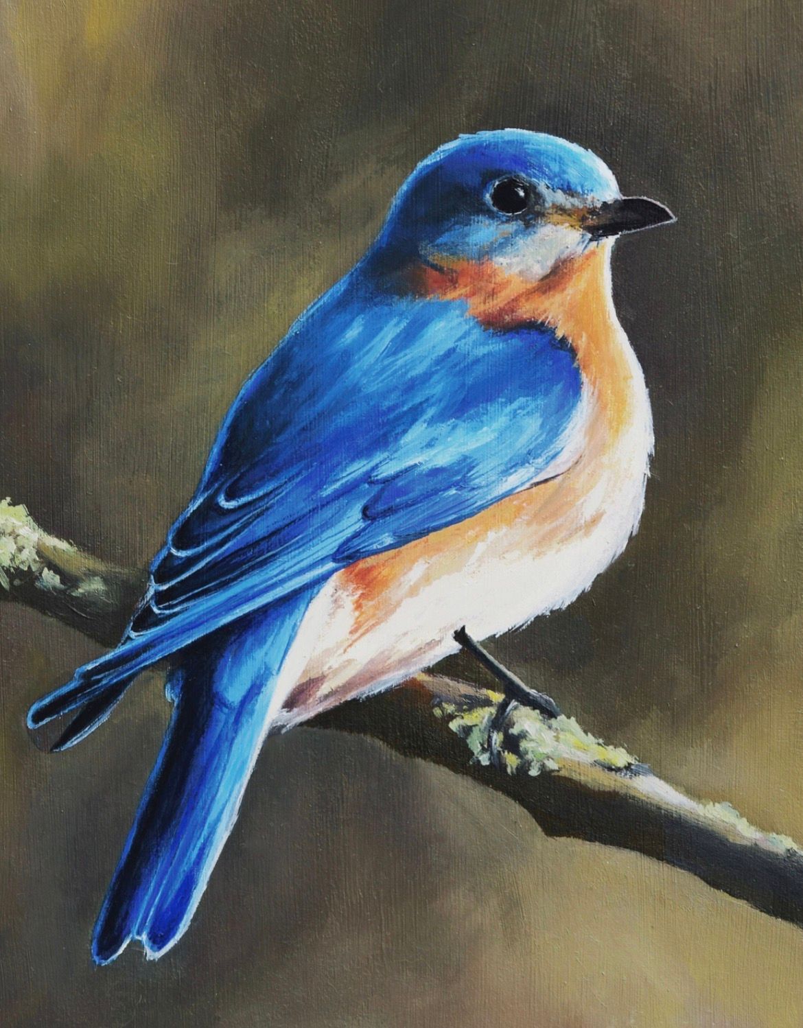 Summer Holiday Art Workshops -  Tuesday 4 Aug 2026 - 9:00am-12:00- MORNING- Art Workshop - Blue bird- acrylic on canvas