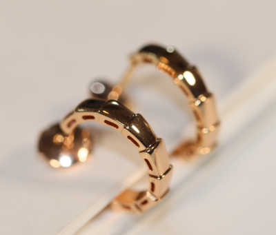 Boucle d&#39;oreille Serpenti