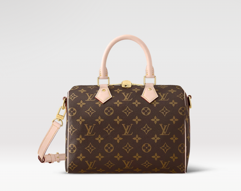 Speedy 25 + accessoire de sac