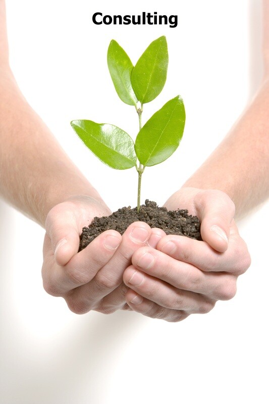Change Management in HR