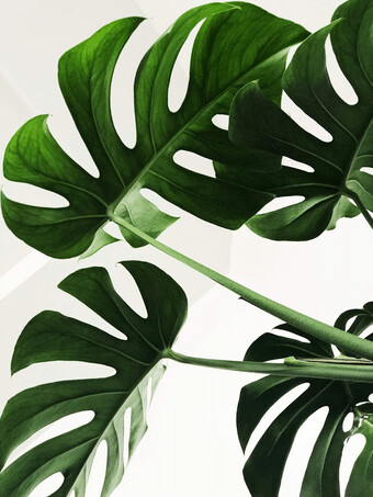 Microlearning: Introduction to strategic planning in change management