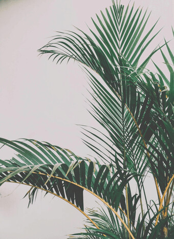 Microlearning: Models in change management