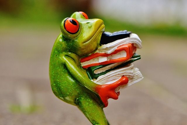Microlearning: Resilienz Teil 2: Stress: Wie ist das bei mir?