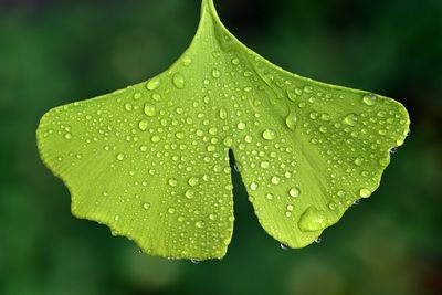 Microlearning: Resilienz Teil 3: Welche Ressourcen helfen mir?