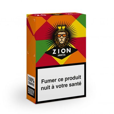Zion Amnesia