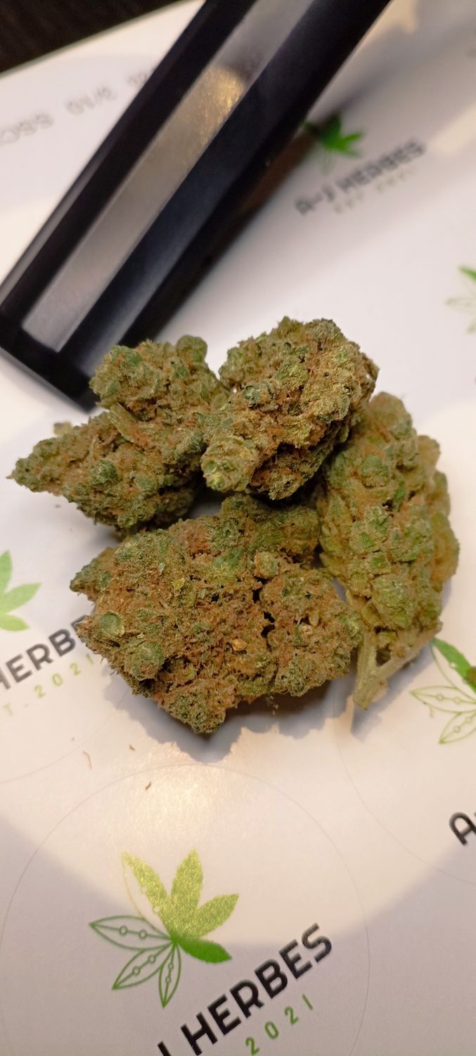 ☢️skunk🇨🇭