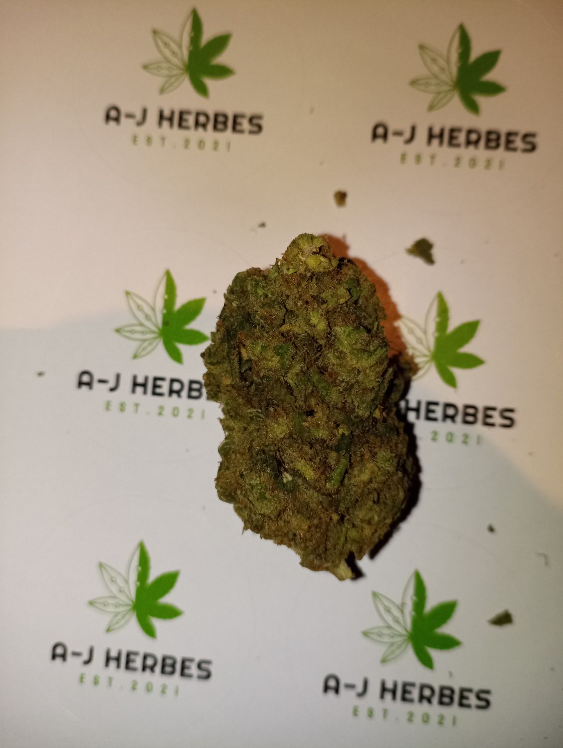 Amnesia indoor