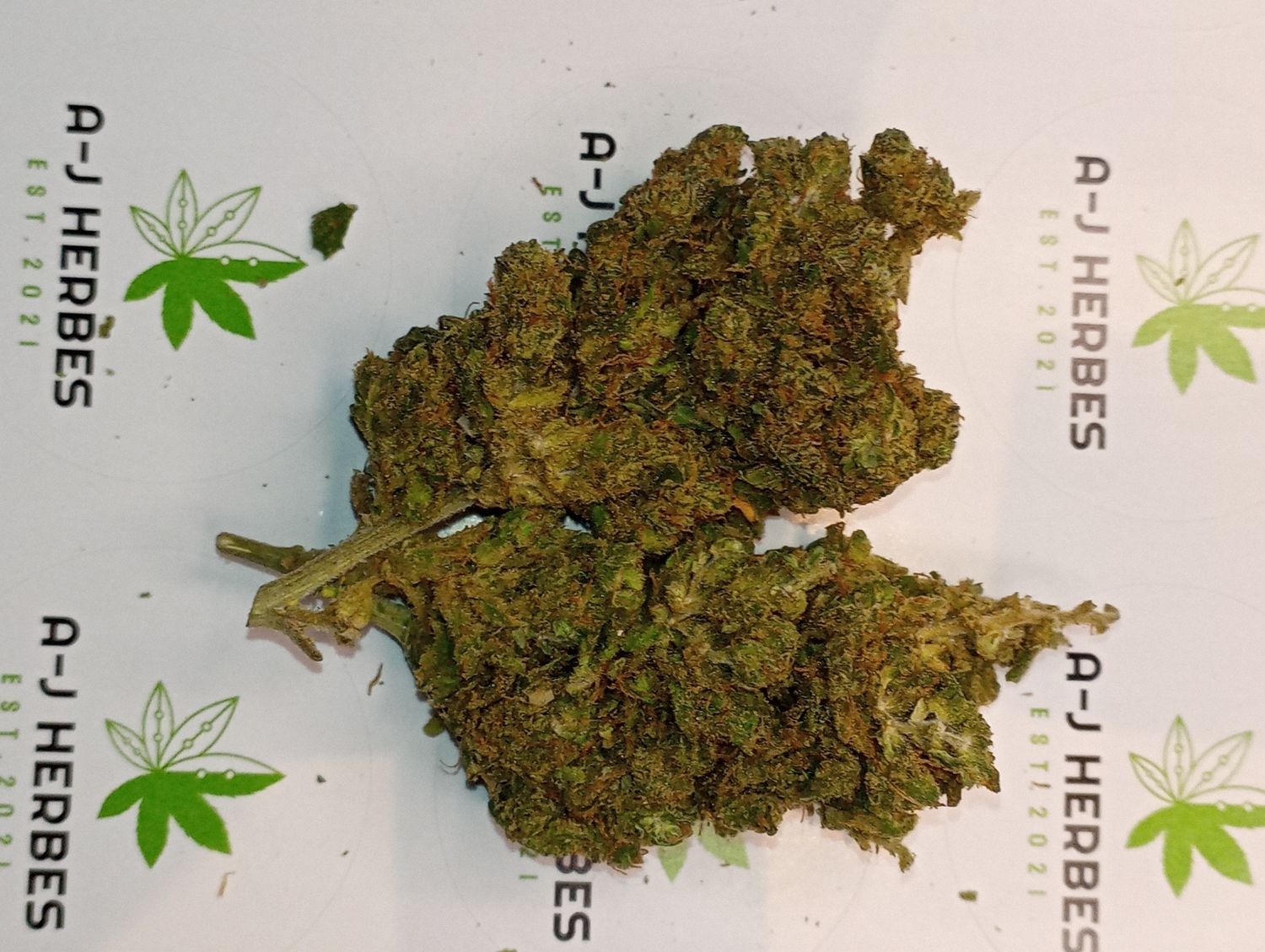 Amnesia indoor