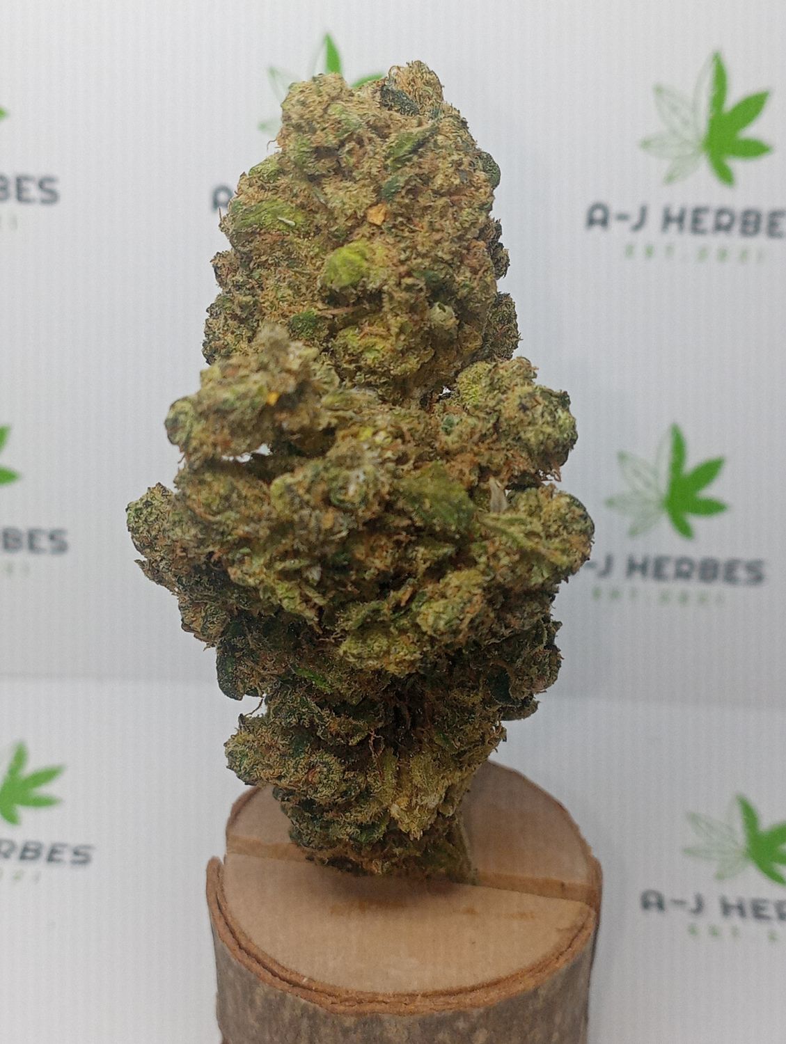 Amnesia indoor