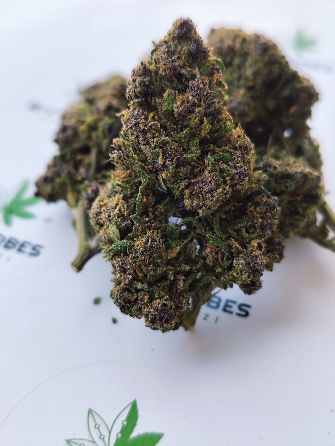🍇 Little purple thcv2 bz 20