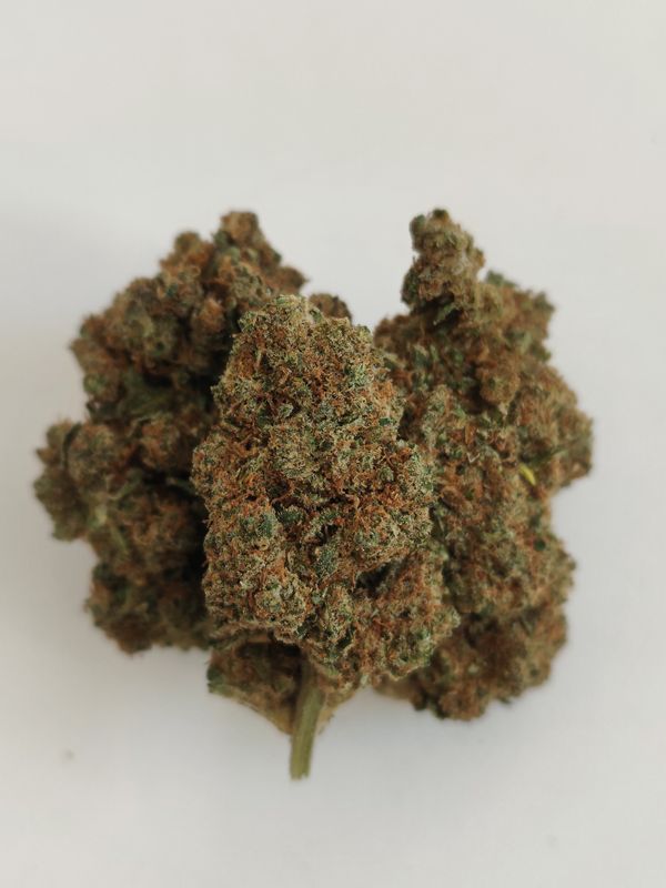Super 🍋Lemon pop🇪🇸