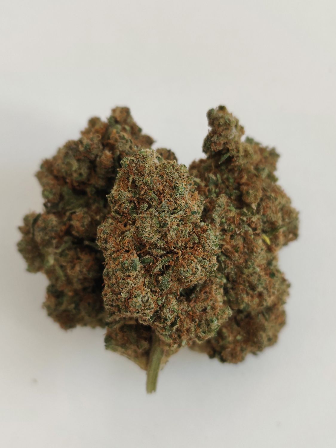 Super 🍋Lemon pop🇪🇸