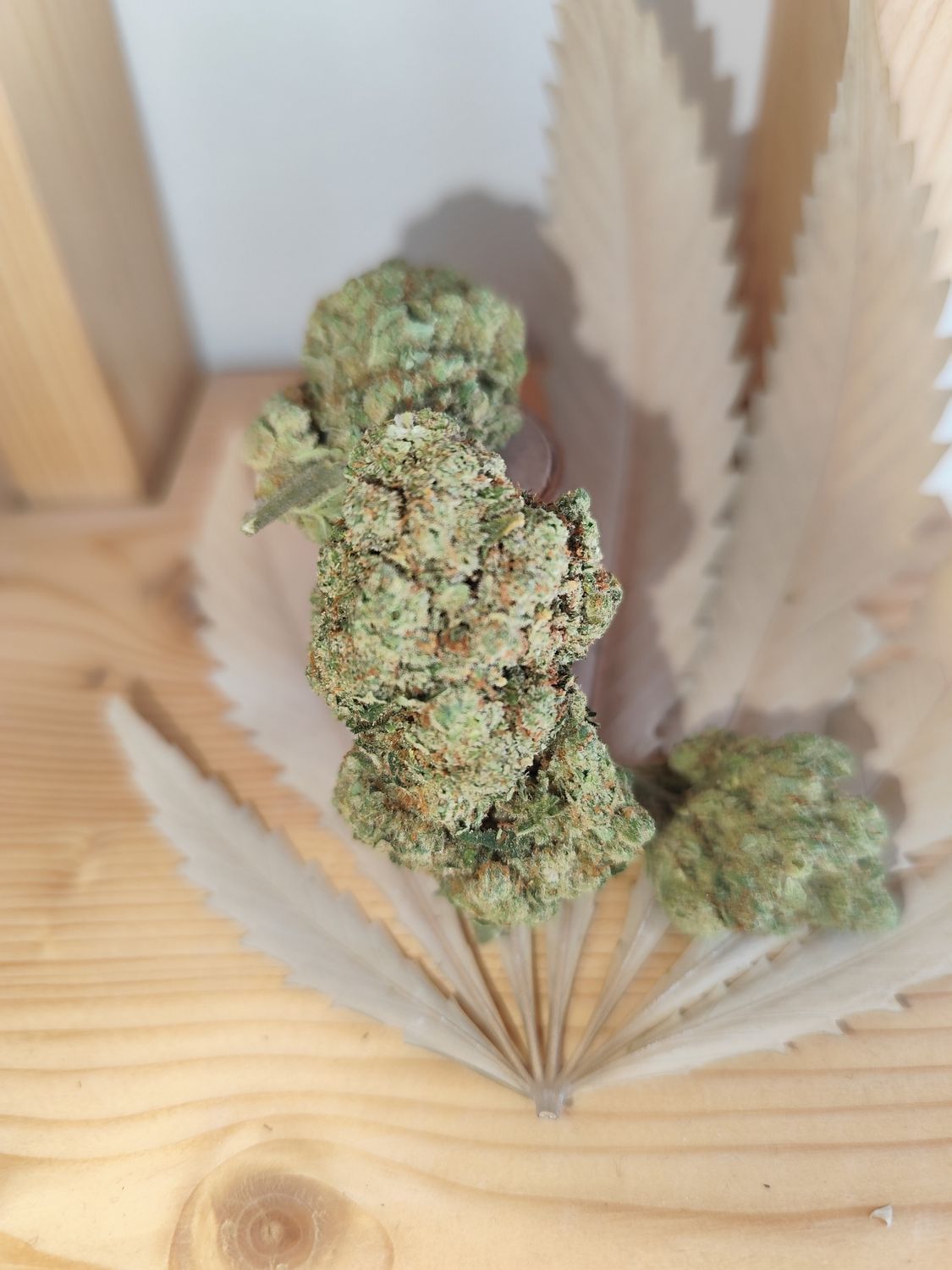 Super 🍋Lemon pop🇪🇸