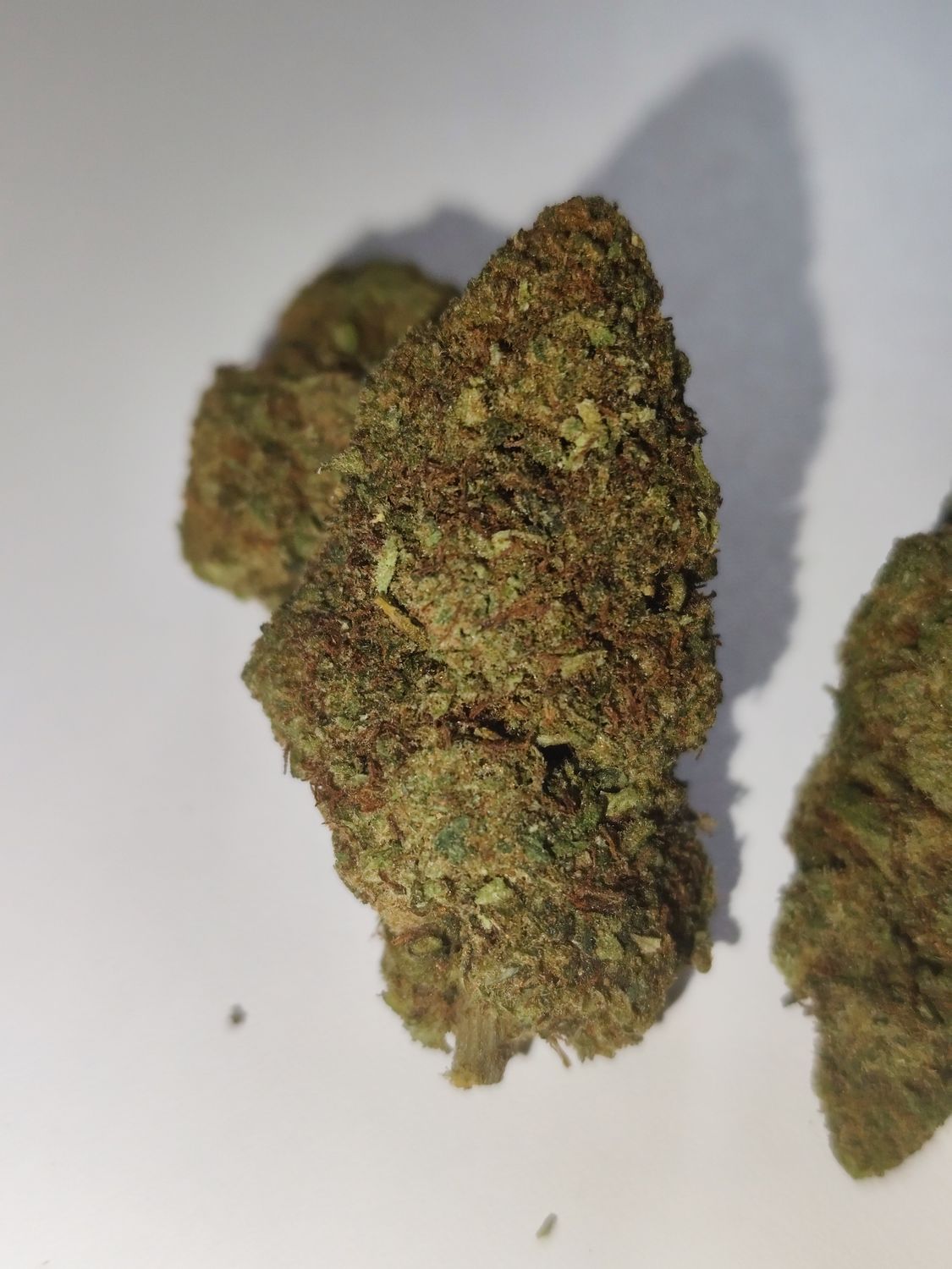 Cookies creams THC v2🇨🇭
