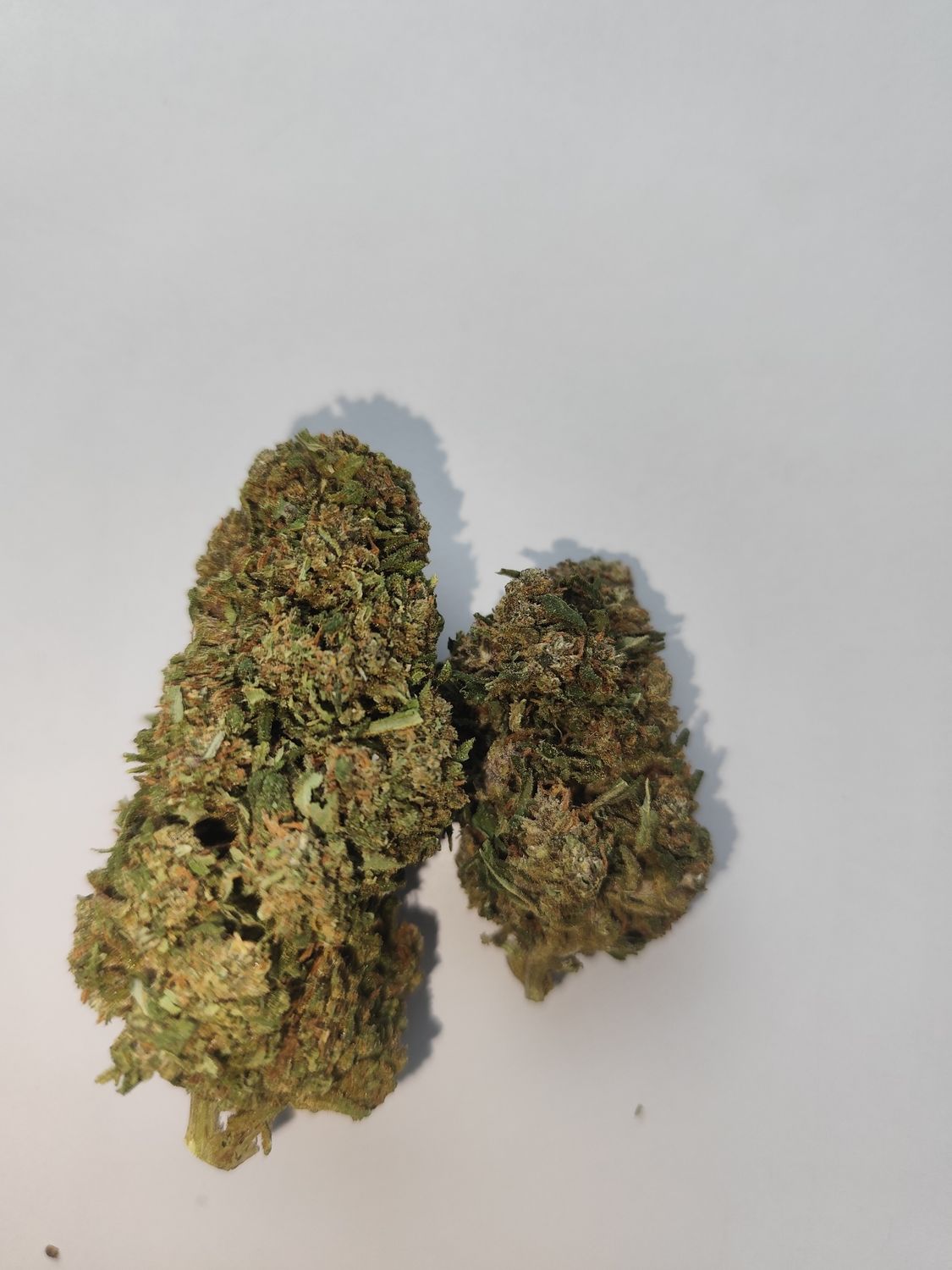 Critical thcv2
