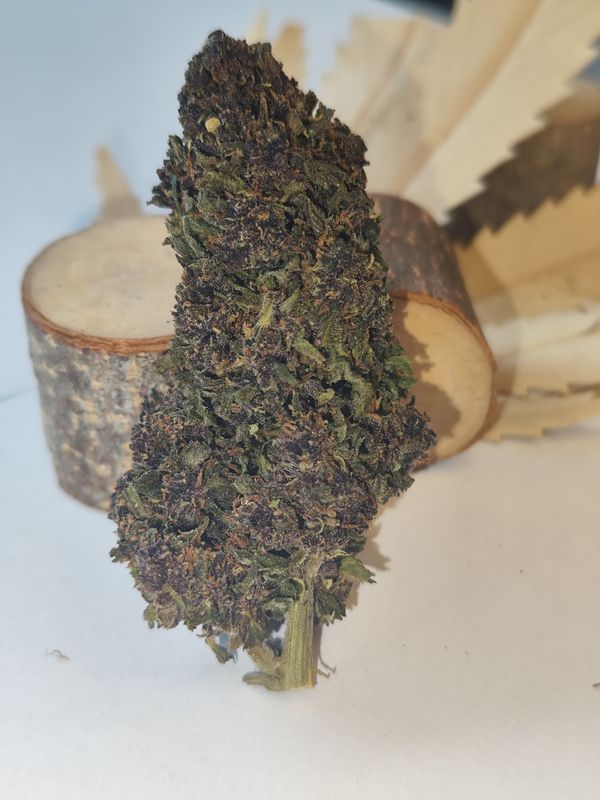 Purple cherry thc-v2 
