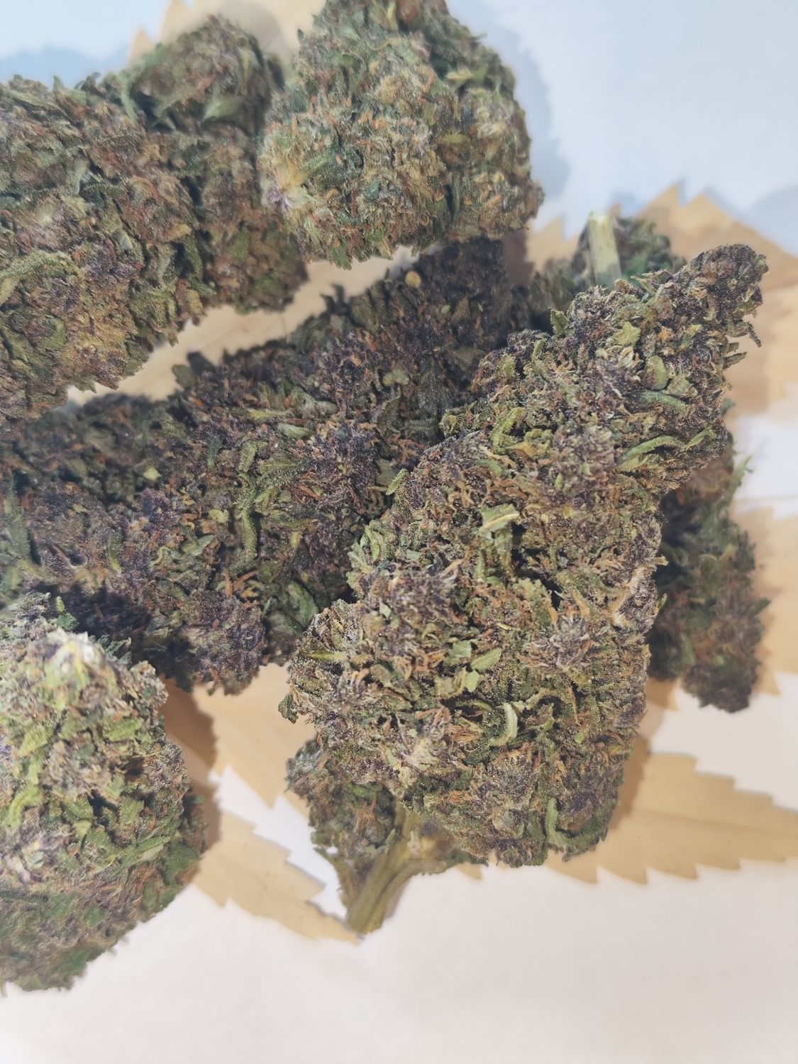 Purple cherry thc-v2 