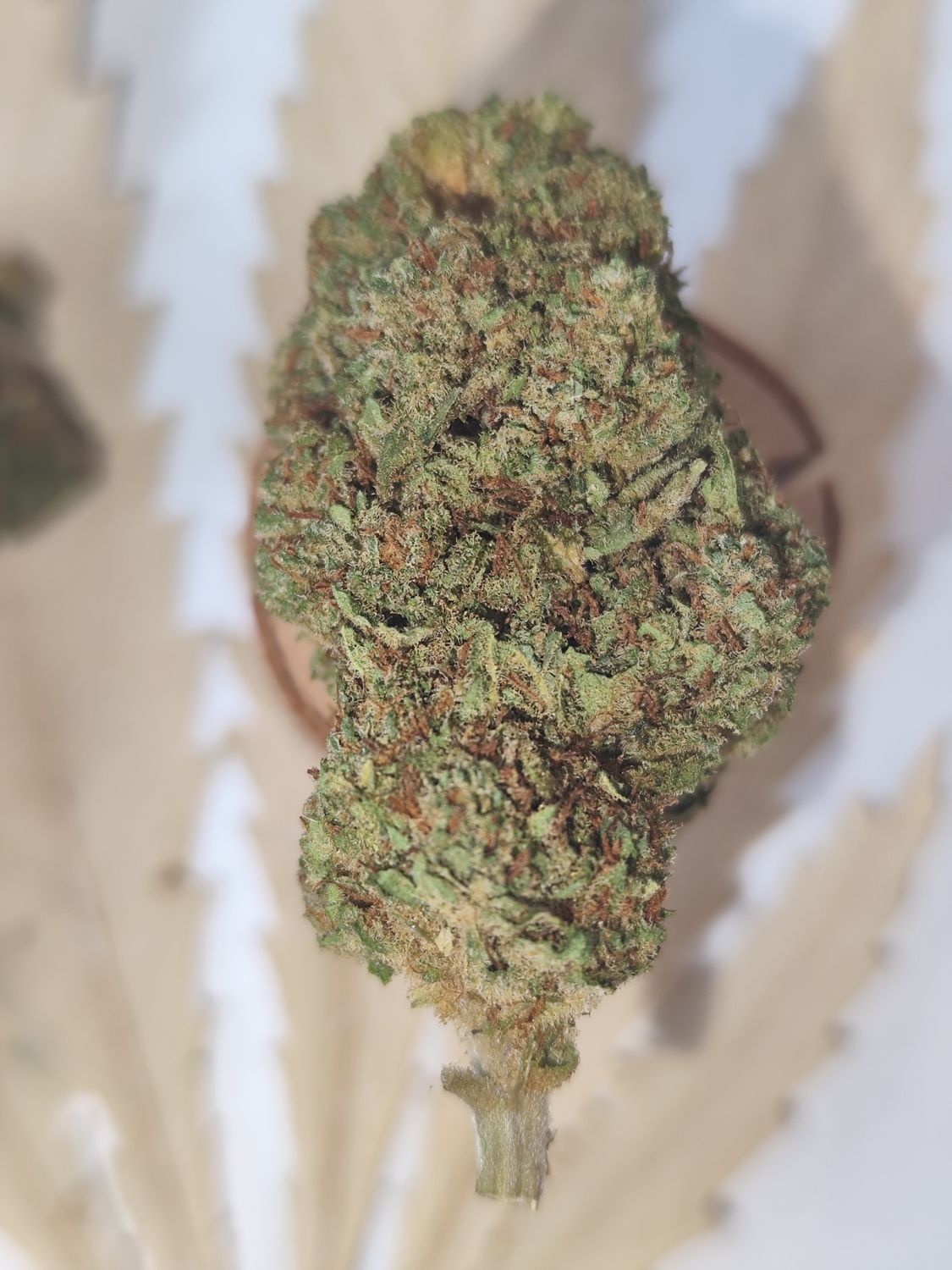Cali kush thc v2 