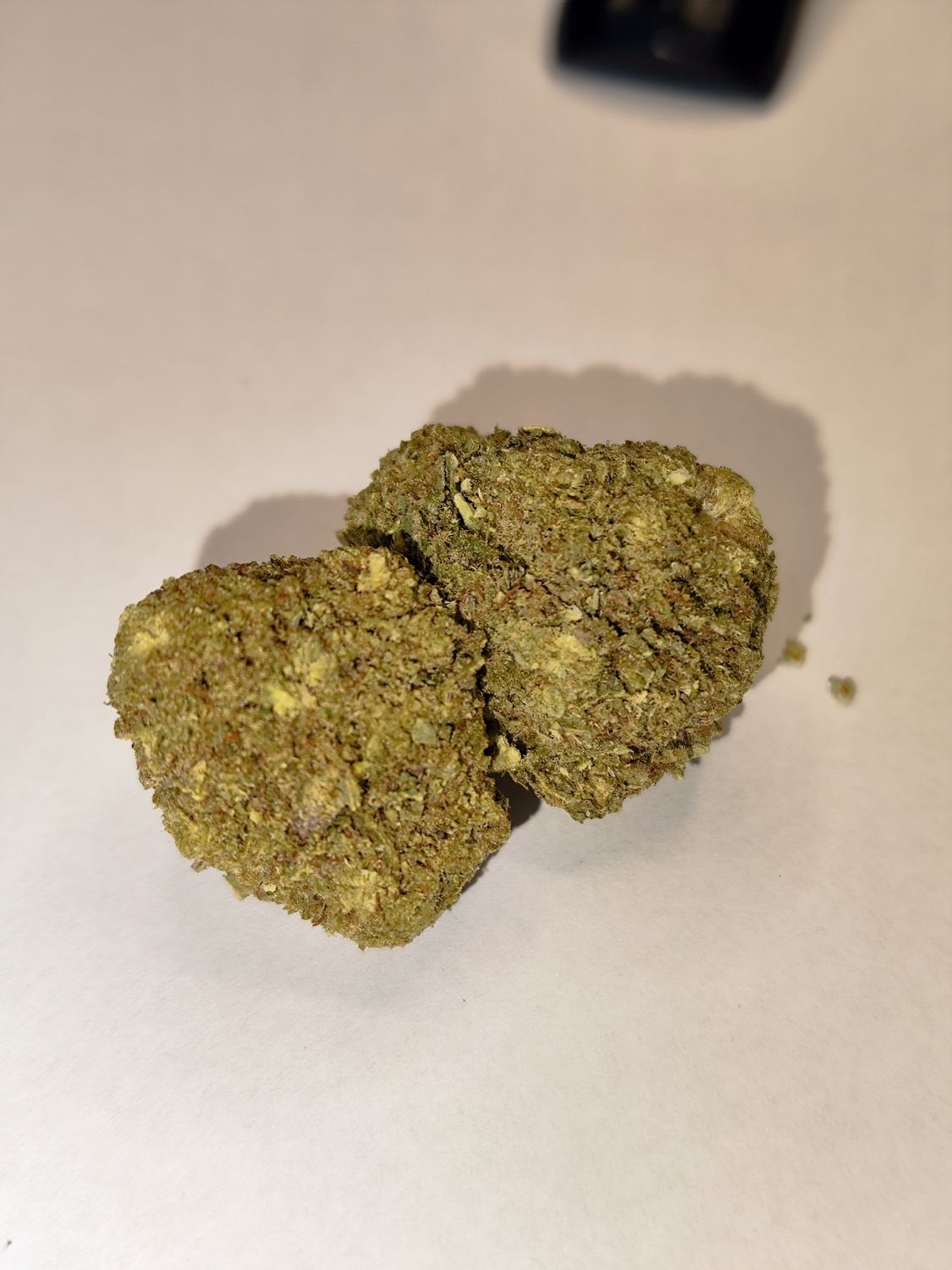 Amnesia Frozen hydro 