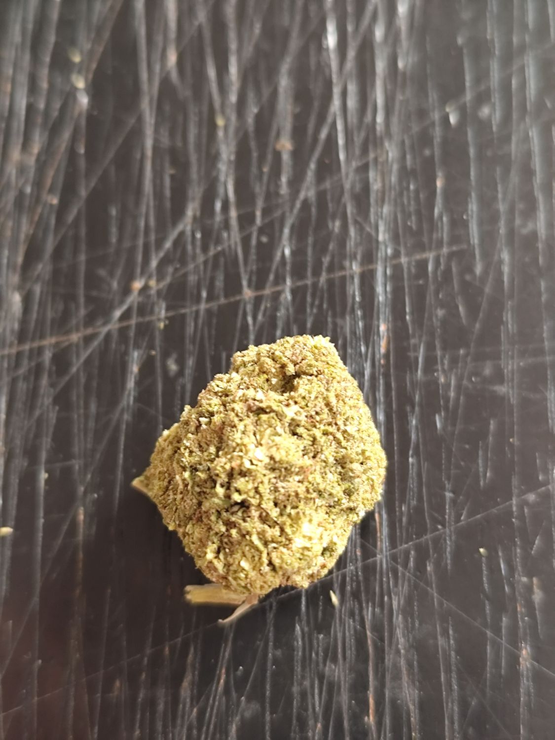 Amnesia Frozen hydro 