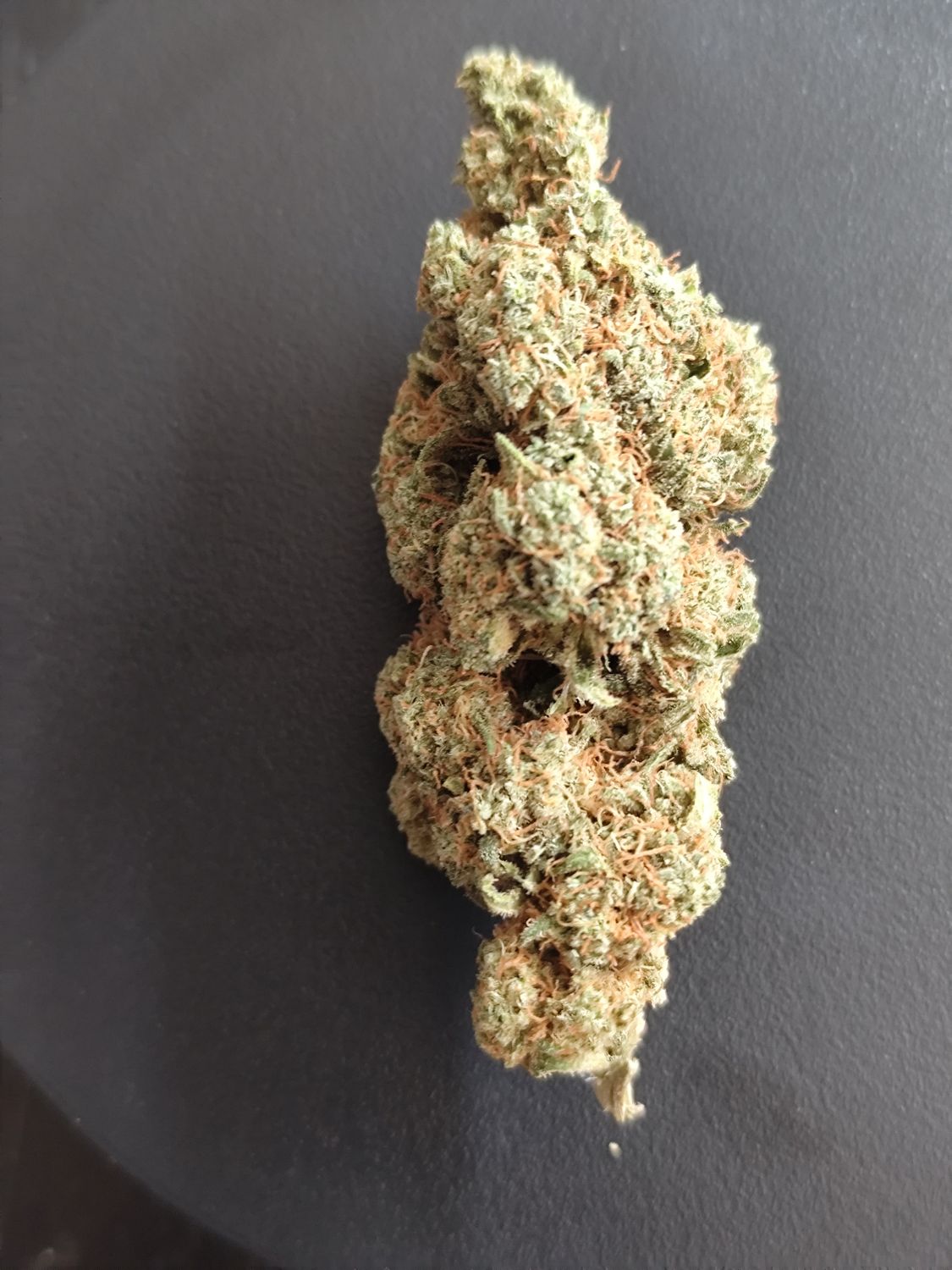 Jedi gélato indoor 🇨🇭🖖🏻🛸