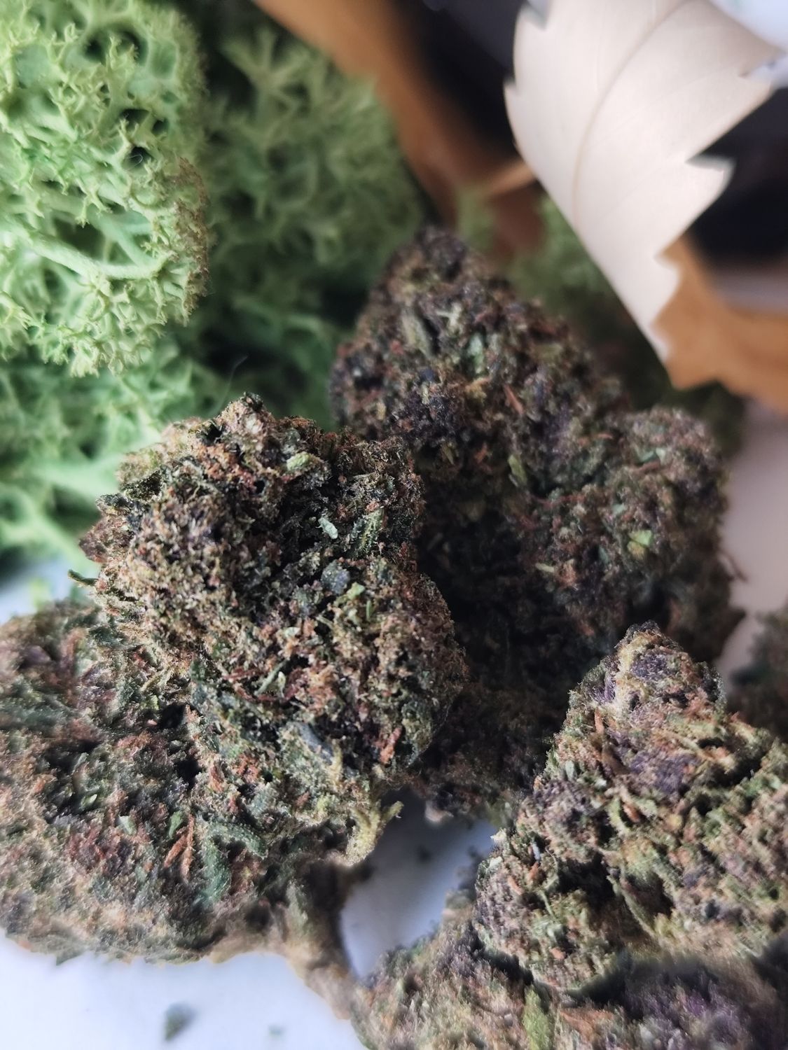 🍇 Little purple thcv2 bz 20