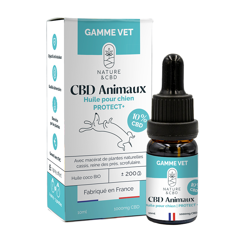 Huile CBD Animaux Protect+ 10%