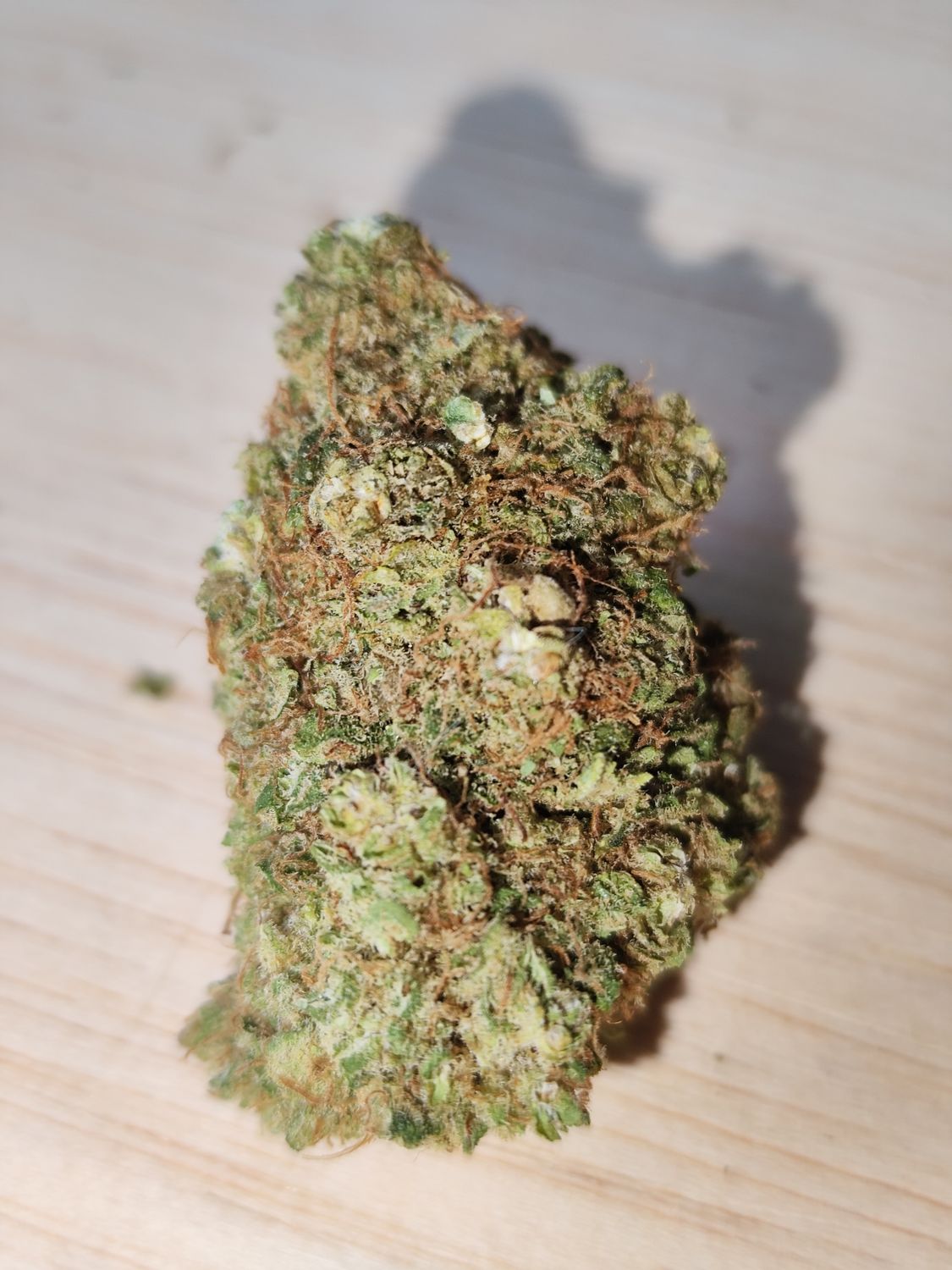 Blue Dream 🇨🇭