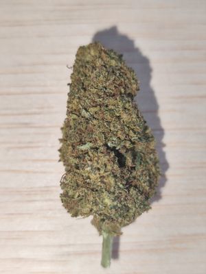 Tropicana banana 🍌 cbd G.H 