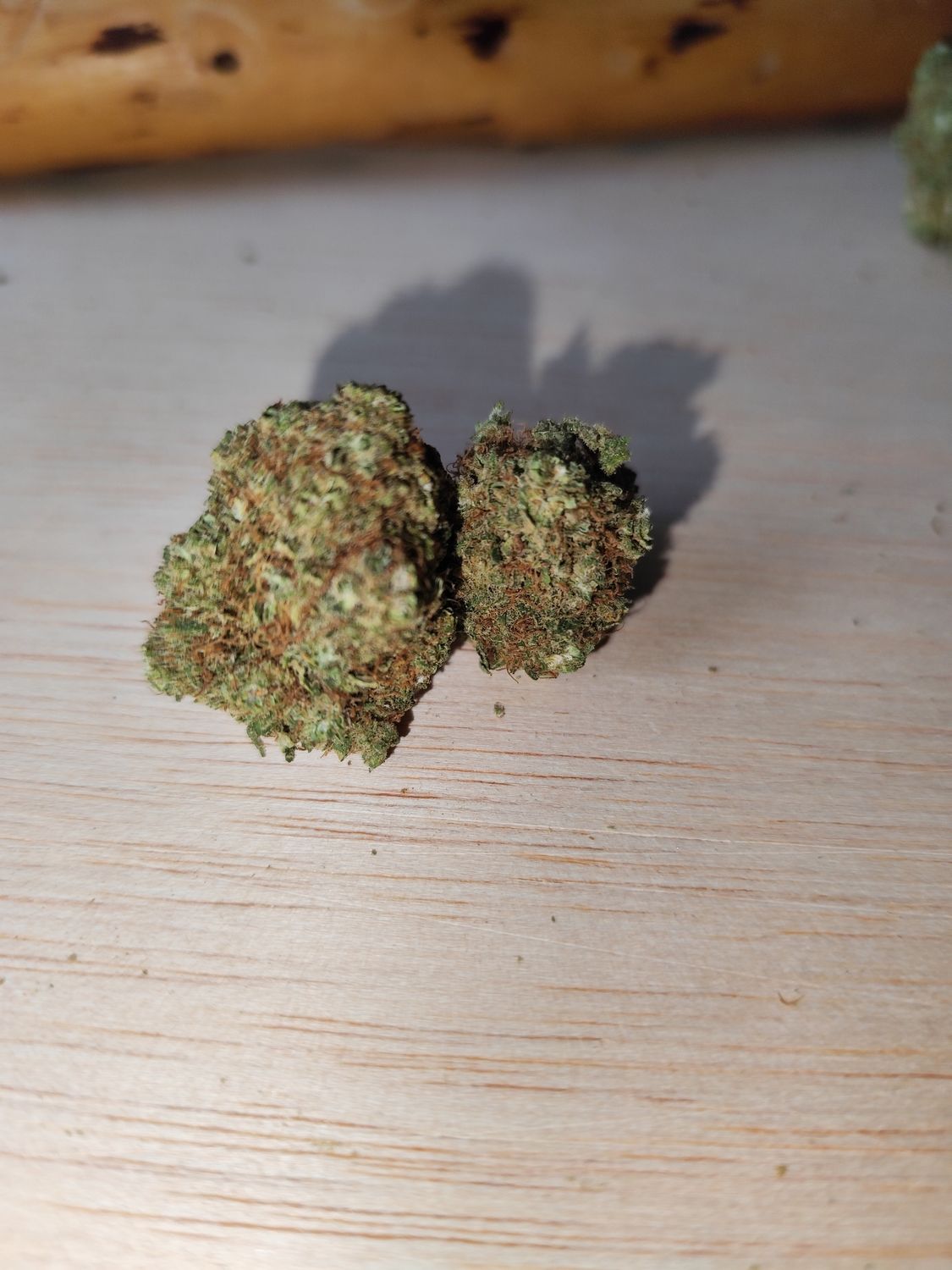 Gorilla 🦍 glue indoor 🇺🇸