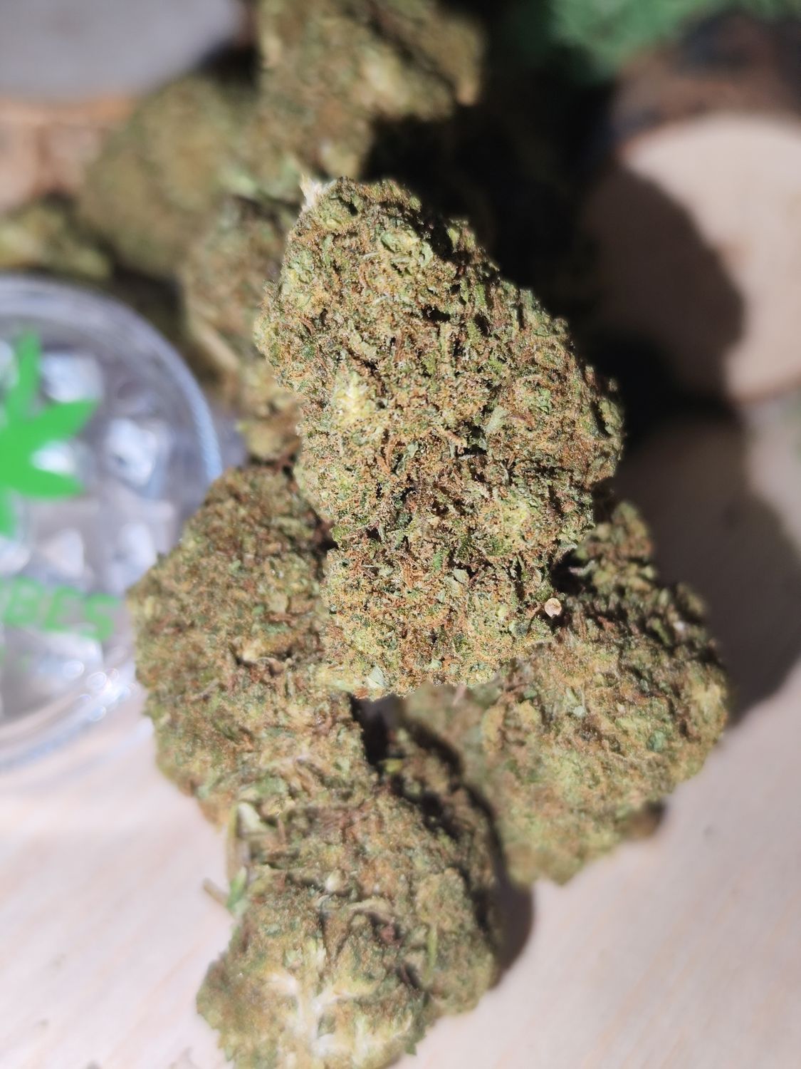 Amnesia G.H 
