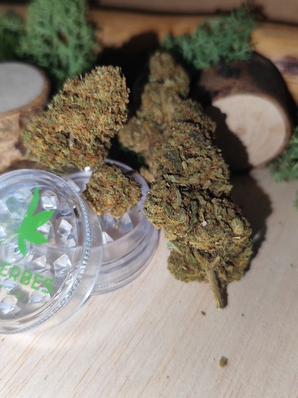 Tropical dream boost indoor 🇫🇷