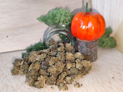 Arlequin popcorn 🍿 G.H