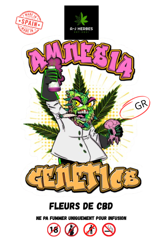 Amnesia G.H 