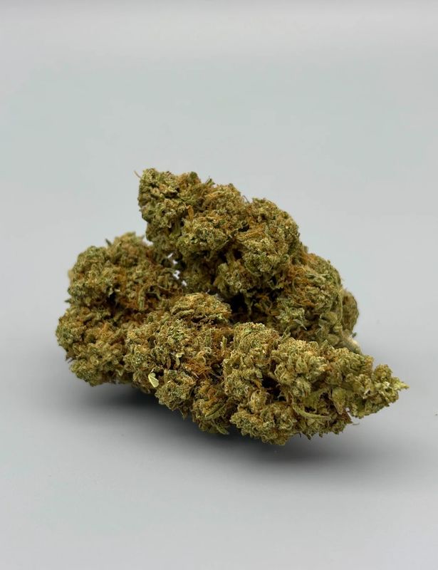 Gelato G.H