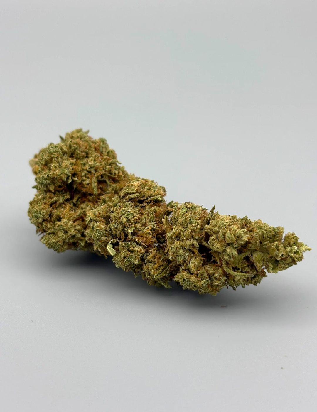 Gelato G.H