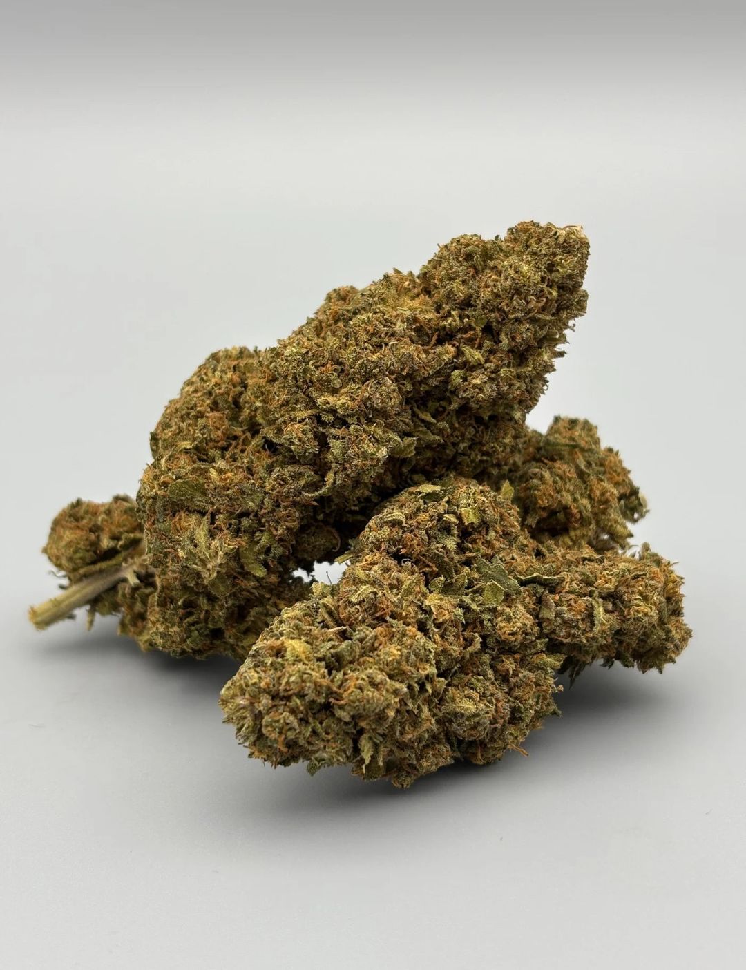 Gelato G.H